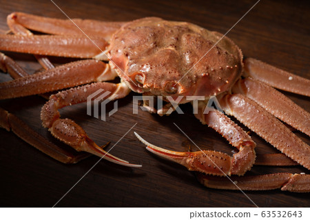 Crab Crab 63532643