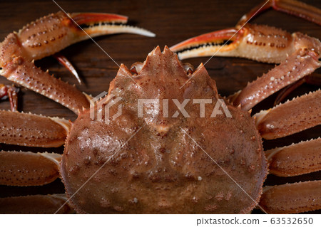 Crab Crab 63532650