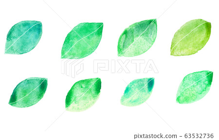 Hand painted watercolor leaves illustration Hand painted watercolor leaves illustration 63532736