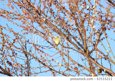 宇都宮明次郎城堡遺址公園 63533221