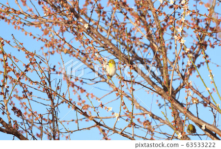 宇都宮明次郎城堡遺址公園 63533222