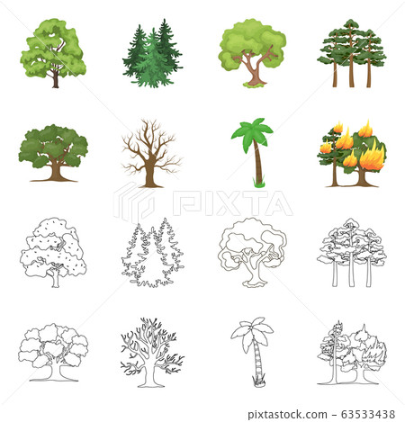 Vector illustration of tree and forest symbol. Collection of tree and green vector icon for stock. 63533438
