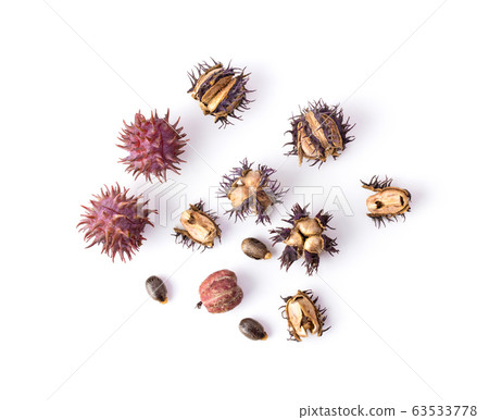 Castor oil seeds isolated on white background. top view 63533778