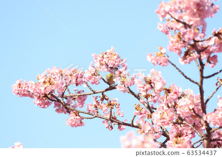 宇都宮明次郎城堡遺址公園 宇都宮明次郎城堡遺址公園 63534437