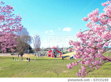 Spring Park Honjo General Park 63535289
