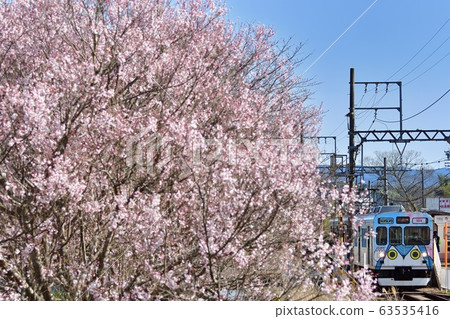 Sakura and Iga Railway trains Sakura and Iga Railway trains 63535416