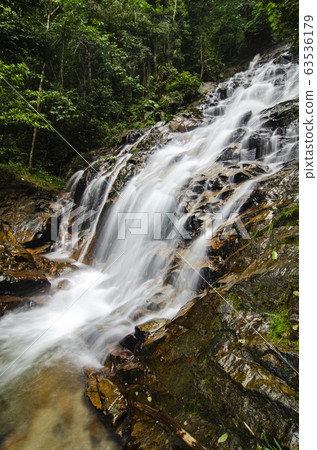 waterfall in lush surrounded by green forest 63536179