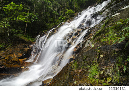 waterfall in lush surrounded by green forest waterfall in lush surrounded by green forest 63536181