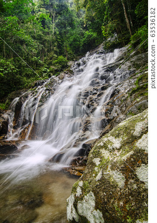 waterfall in lush surrounded by green forest waterfall in lush surrounded by green forest 63536182