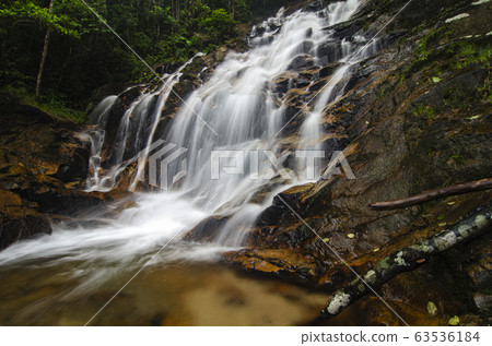 waterfall in lush surrounded by green forest waterfall in lush surrounded by green forest 63536184