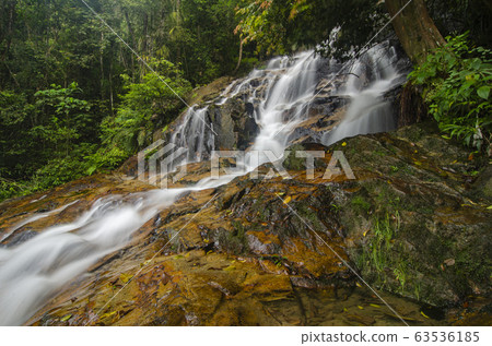 waterfall in lush surrounded by green forest waterfall in lush surrounded by green forest 63536185