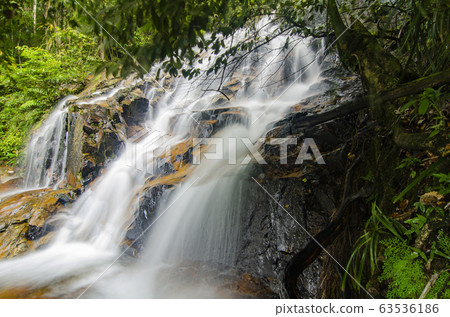 waterfall in lush surrounded by green forest waterfall in lush surrounded by green forest 63536186