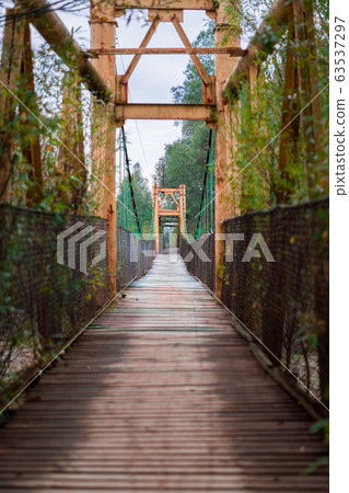 An old wooden bridge construction with tree 63537297