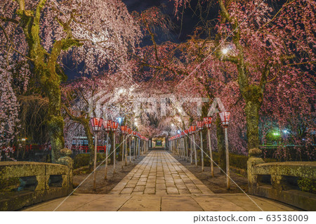 [靜岡縣]三島市夜間三島大社 63538009