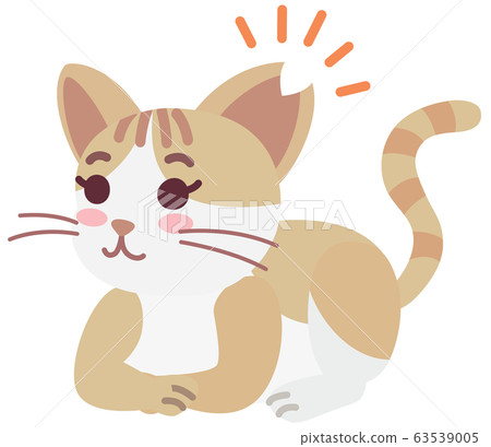 Local cat girl with sterilization and ear cut 63539005