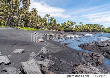 Sea turtle sunbathing on the Punaluu black sand beach ♪ 63539045