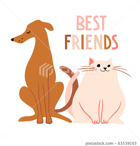 Best friends. Cute hand drawn cat and dog characters 63539103