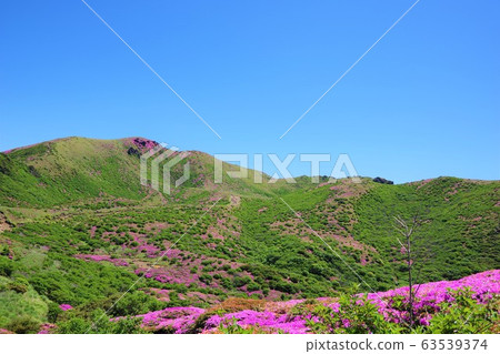 Oita Prefecture 63539374