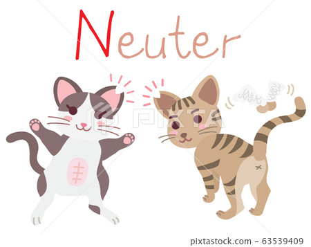 區域性貓TNR Neuter的說明圖 區域性貓TNR Neuter的說明圖 63539409