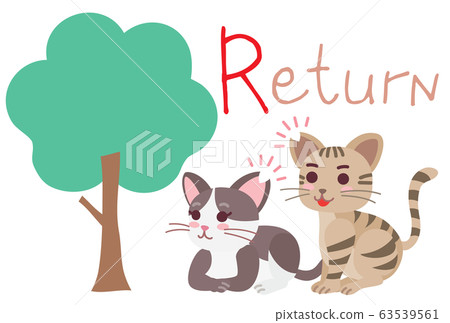 Explanation illustration of local cat TNR Return 63539561