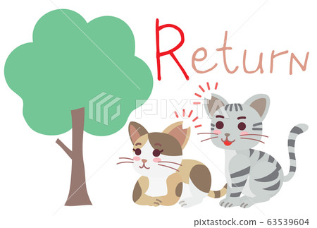 Explanation illustration of local cat TNR Return 63539604