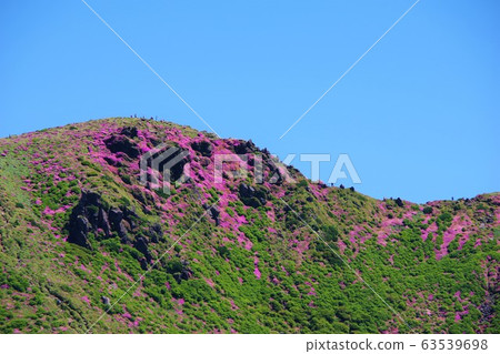 Oita Prefecture Miyasei Kirishima at the top of Mt. Hoshio 63539698