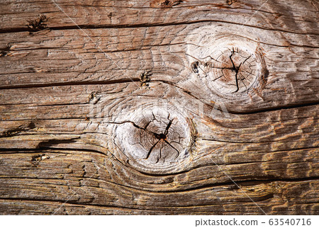 Two knot on the old tree wood 63540716