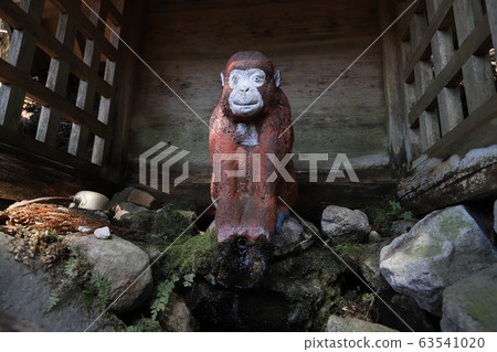 延長壽命的猴子水 63541020