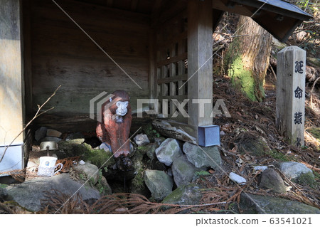 延長壽命的猴子水 63541021