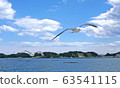 在海上的海貓飛行 63541115