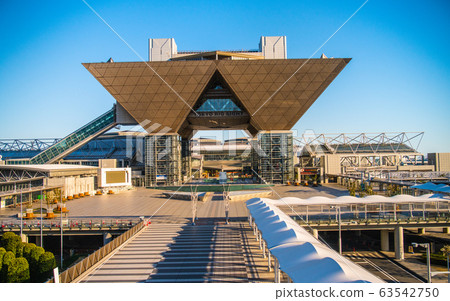 在日本東京大視域的東京都市風景 63542750