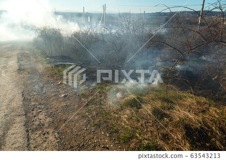 A large fire flame destroys dry grass and tree branches along the road. 63543213