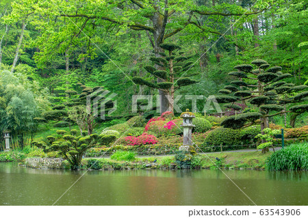 figured crop of plants and pond in japanese garden, France figured crop of plants and pond in japanese garden, France 63543906