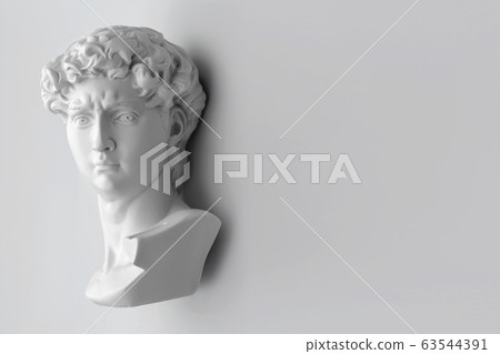 Gypsum statue of David's head. Michelangelo's Gypsum statue of David's head. Michelangelo's 63544391