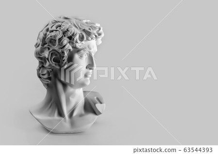 Gypsum statue of David's head. Michelangelo's 63544393