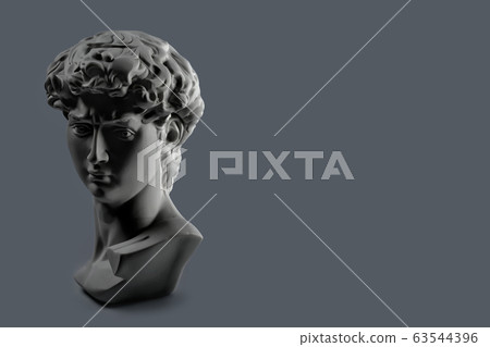Gypsum statue of David's head. Michelangelo's 63544396