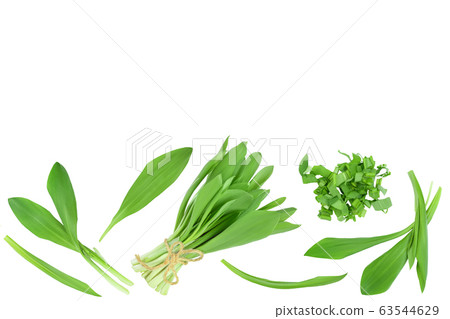 Ramson leaves isolated on white background with clipping path and full depth of field, Top view with copy space for your text. Flat lay 63544629