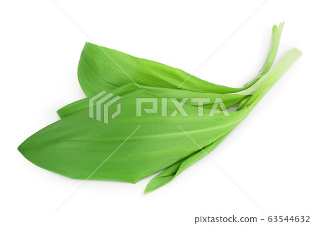 Ramson bunch vegetable isolated on white background with clipping path and full depth of field Ramson bunch vegetable isolated on white background with clipping path and full depth of field 63544632
