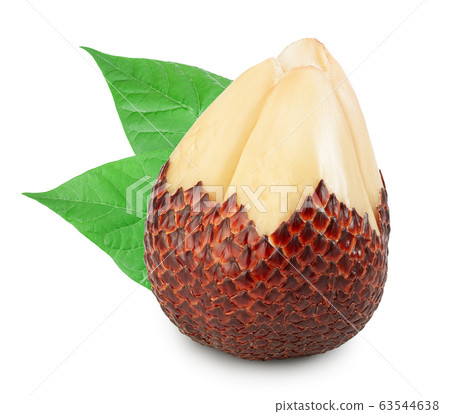 Salak snake fruit isolated on white background with clipping path and full depth of field Salak snake fruit isolated on white background with clipping path and full depth of field 63544638
