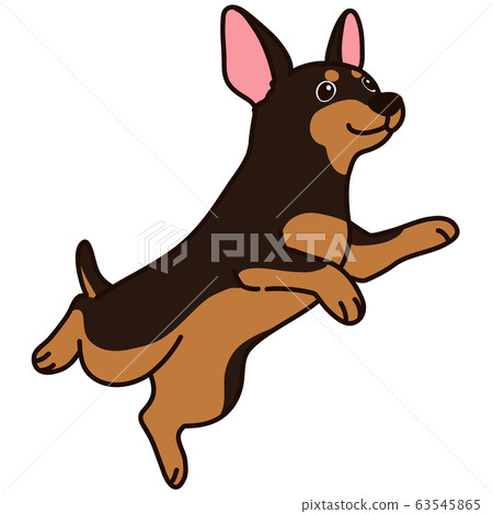 帶有主跳線的微型杜賓犬 帶有主跳線的微型杜賓犬 63545865