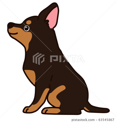 提供坐式微型短毛獵犬側向幹線 提供坐式微型短毛獵犬側向幹線 63545867