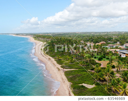 Aerial view of tropical ocean and palm trees forest during sunny day. Praia do Forte 63546989