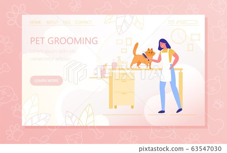 Preparing Cat for an Exhibition, Pet Grooming. Preparing Cat for an Exhibition, Pet Grooming. 63547030