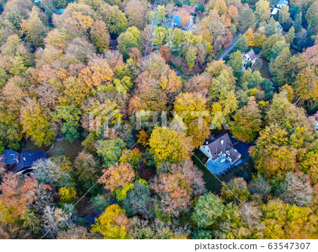 Aerial view of country side area with villas and garden surrounded by forest during green spring season 63547307