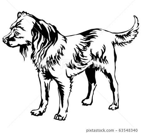 Decorative standing portrait of dog Russian Toy 63548340