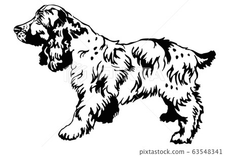 Decorative standing portrait of dog Russian 63548341