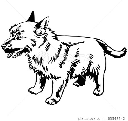 Decorative standing portrait of dog Norwich Decorative standing portrait of dog Norwich 63548342