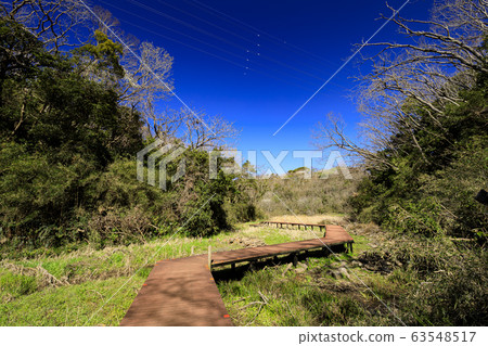 Raised bog 63548517