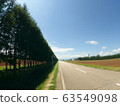Summer north earth 63549098