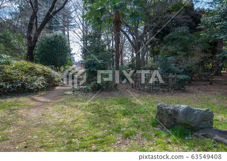 大宮公園 63549408